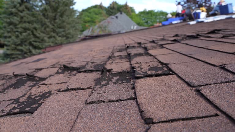 Best Storm Damage Roof Repair  in North Fort Myers, FL
